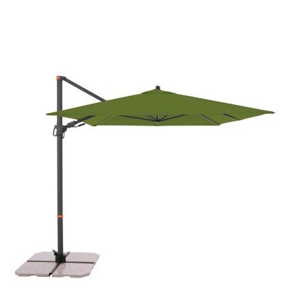 13223 myzone 320 x 240 cm zelena