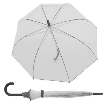 4886 nizza transparent