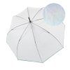 11903 1 c 760 stick transparent stardust agave damsky holovy destnik