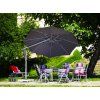 12683 1 expert 350 cm antracit