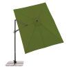 myZone 320 x 240 cm zelená  Doppler