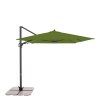 13223 myzone 320 x 240 cm zelena