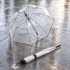 16636 3 knirps c 760 stick transparent solid black pruhledny holovy destnik