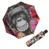 173 1 modern art magic monkey
