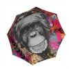 173 modern art magic monkey